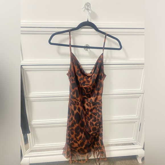 Brown Mesh Leopard Print Ruched Bodycon Dress - Picture 2 of 3
